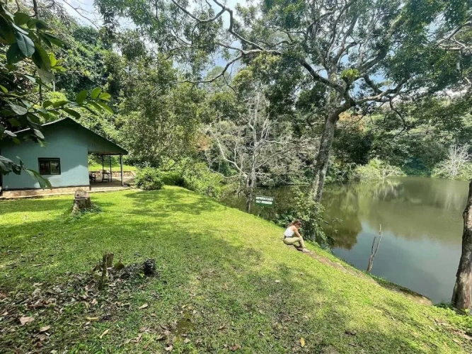 Deluxe Cottage