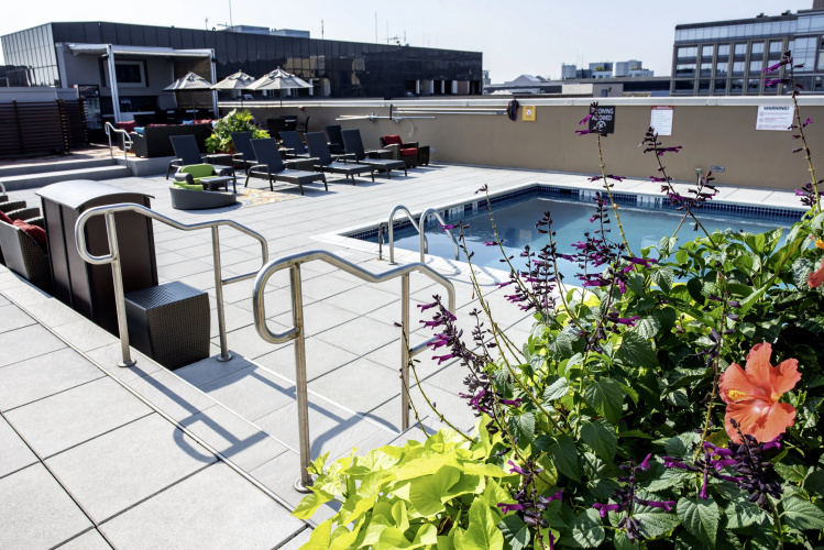 Holiday Inn Washington Capitol - National Mall photo 31