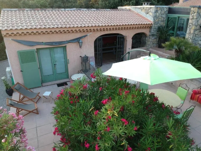 Standard Double room with pool view