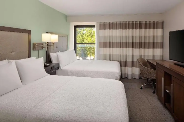 1 Bedroom Suite