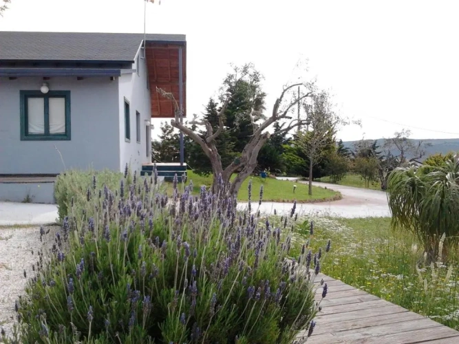 Cottage