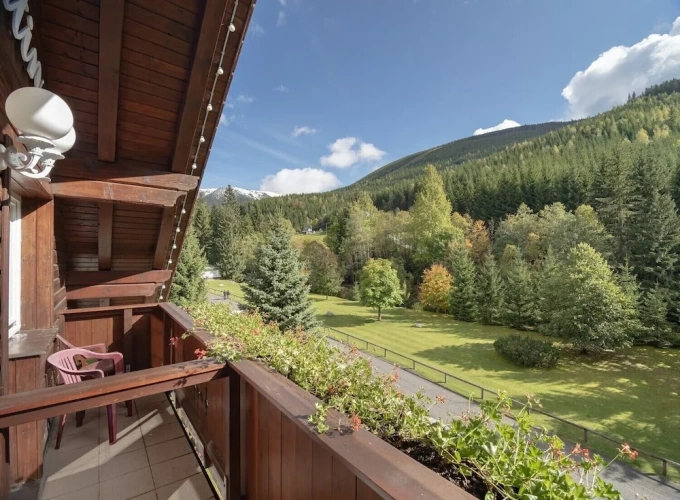 2 Bedrooms Presidential Apartment with balcony and with park view