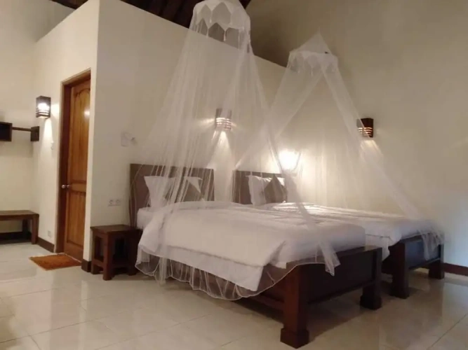 Premium Twin room