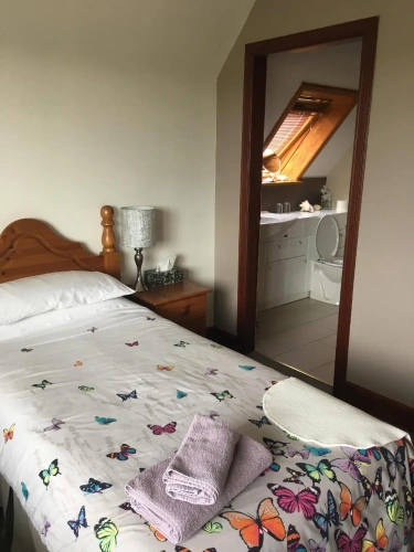 Standard Twin Family room