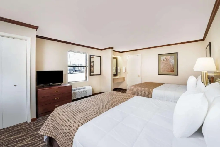 Deluxe Quadruple Suite
