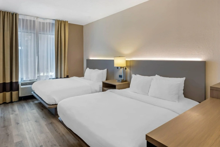 Quadruple Suite