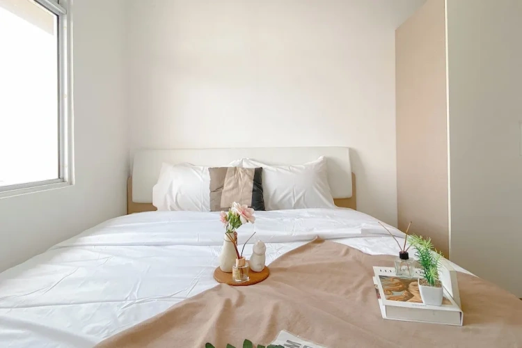 1 Bedroom Standard Apartment