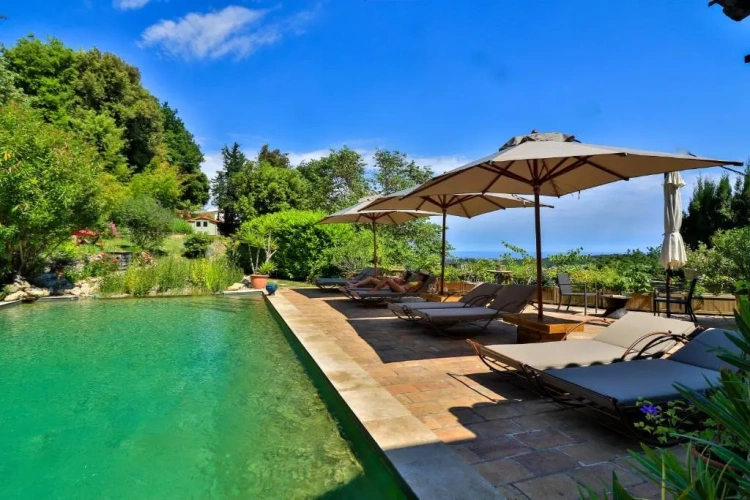 Standard Double room with pool view