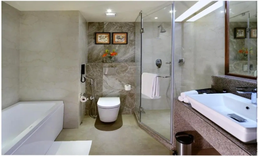 Premium Double room with balcony