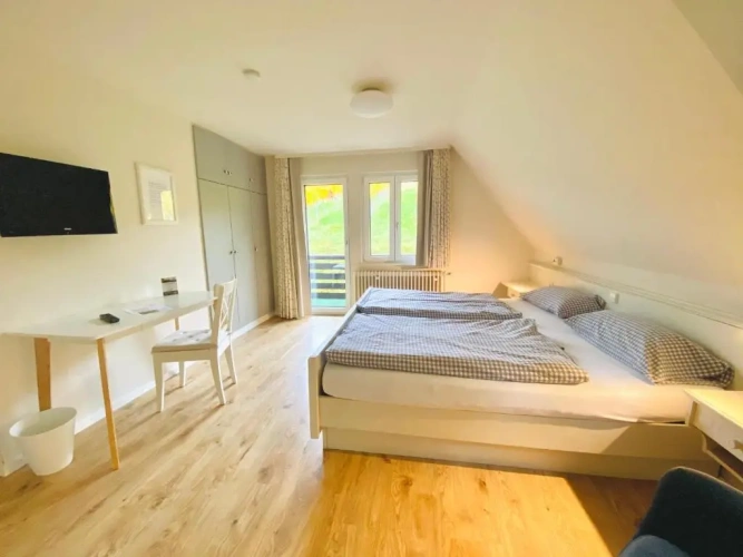Standard Double room with balcony and with view
