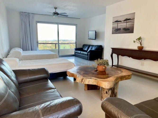 Superior Penthouse room