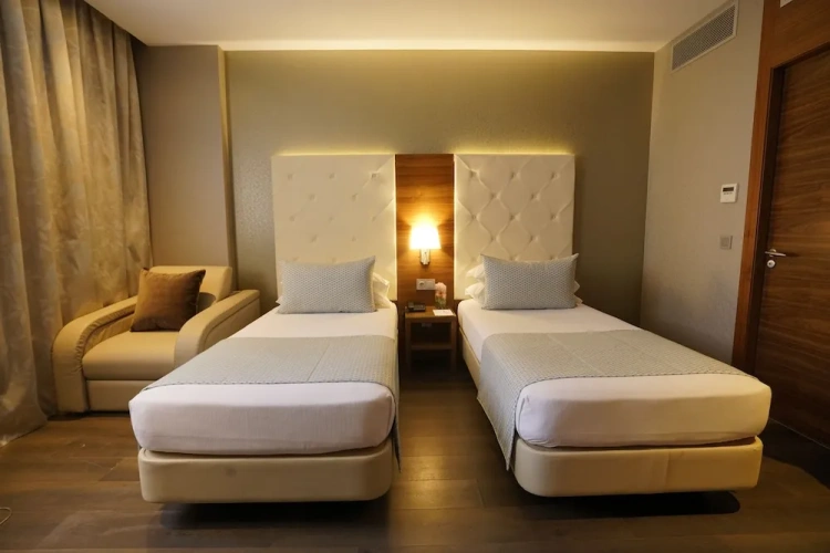 Deluxe Twin room with city view