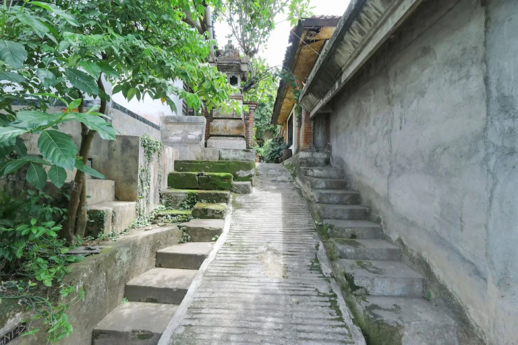Widi Villas