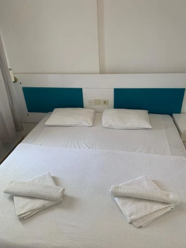 Standard Double room with balcony and with garden view