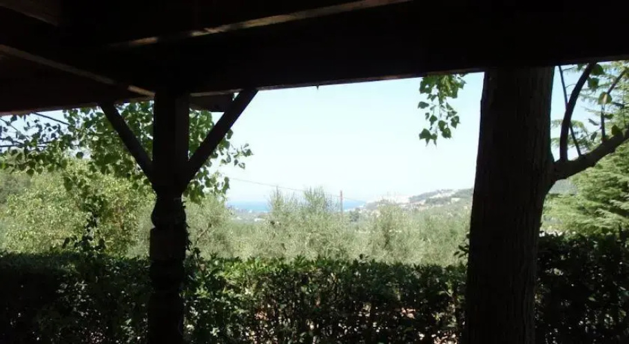 Citrigni