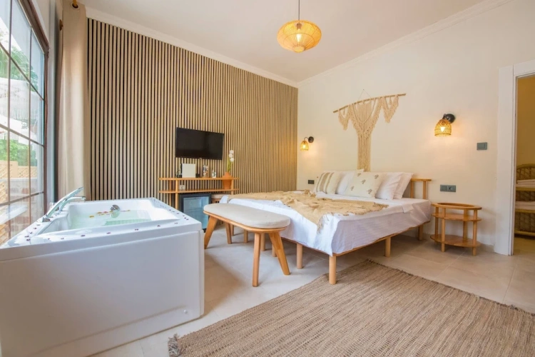 Deluxe Double room with garden view