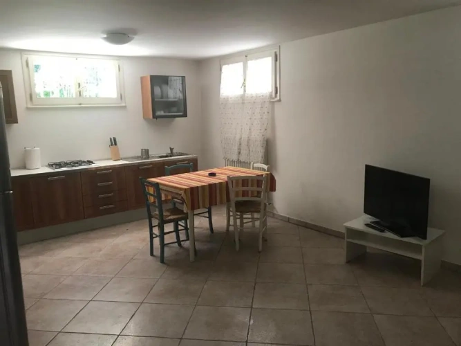 Single Apartment