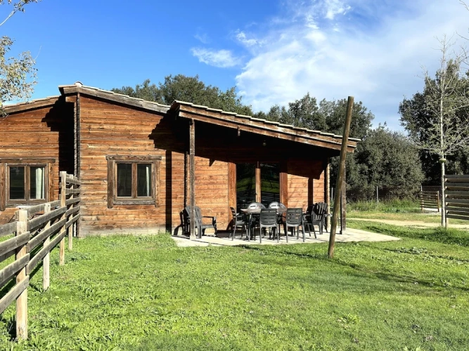 Grand Bungalow