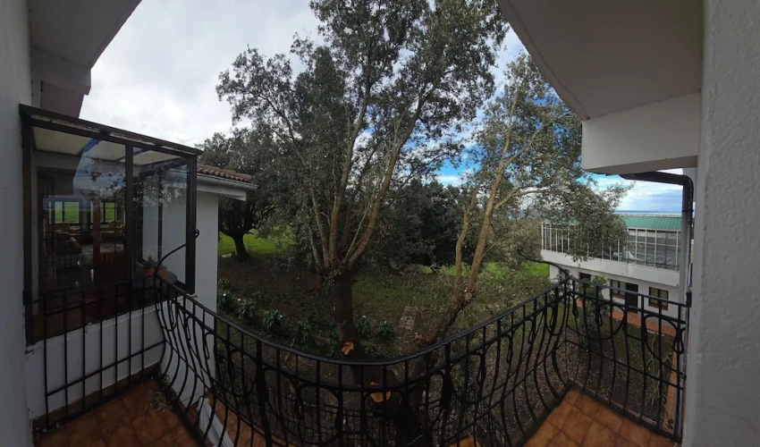 Comfort Double room with balcony and with garden view