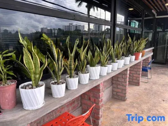 travellersloft 168