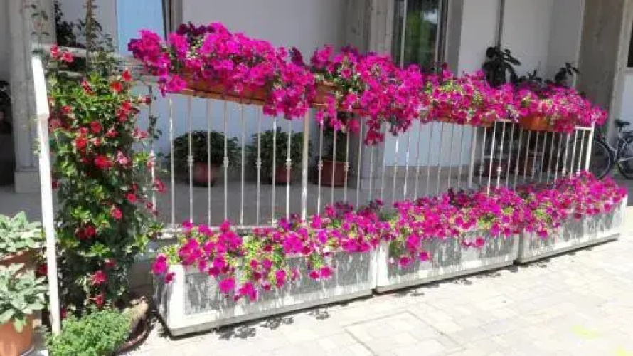 Residence Onda Blu