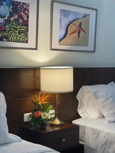 Halibut Hotel - La Romana