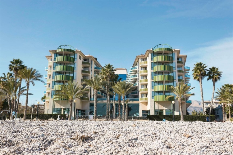 Kaktus Albir photo 29