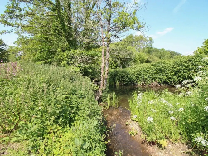 Acres Meadow