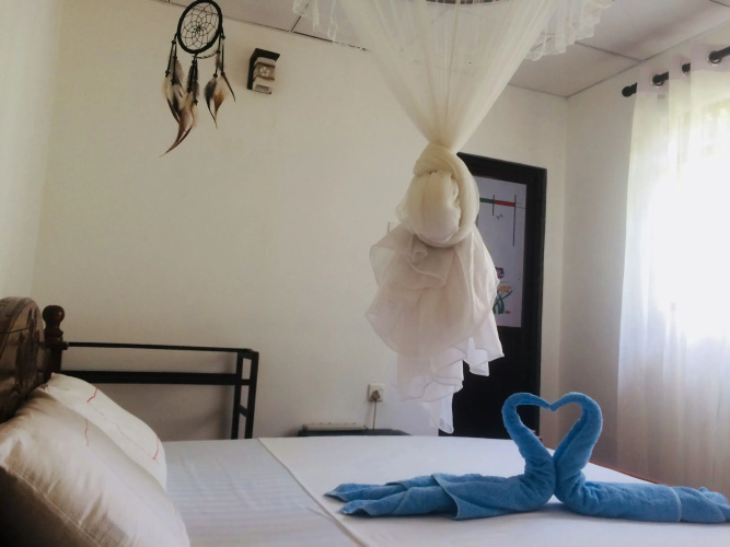 Nature Rex - Hostel