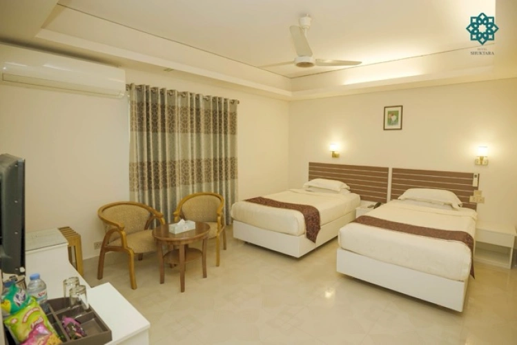 Deluxe Twin room with city view