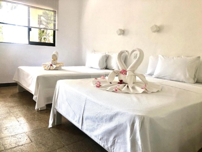 Standard Twin room with pool view