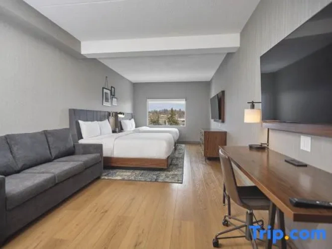 Superior Quadruple Suite with garden view