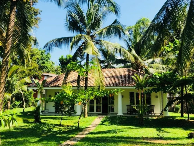 Deluxe Bungalow
