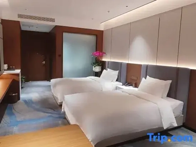 Standard Double room with city view