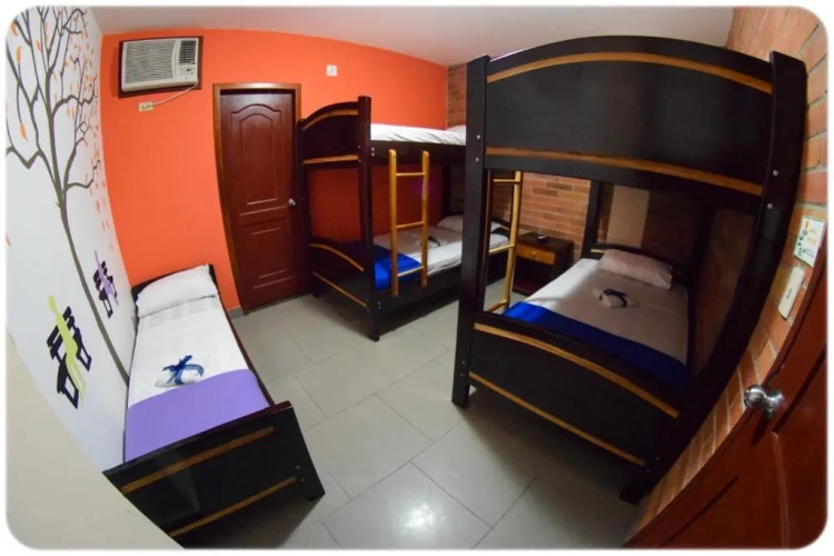 Economy Quadruple room