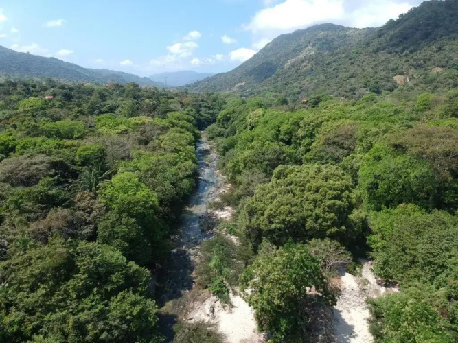 Tayrona Deep Forest Posadas