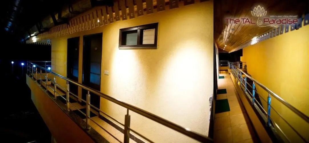 Tal Paradise