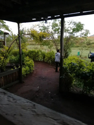 Mara Forest camp