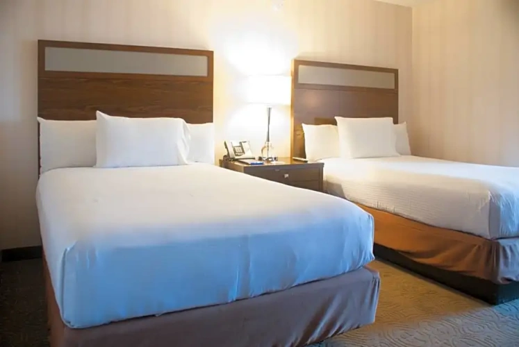 Deluxe Quadruple (2 double beds) room