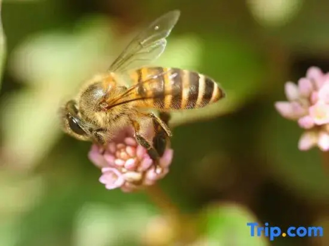 Sweet home Ch 1
