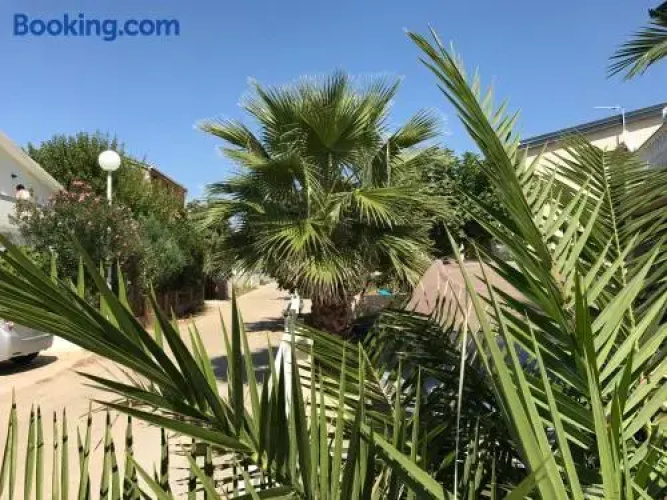 Apartment Plavo Sidro