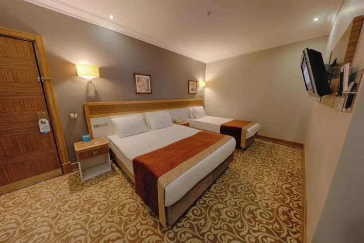 Standard Triple room