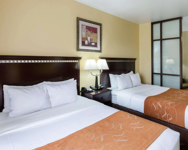 Comfort Suites Palestine