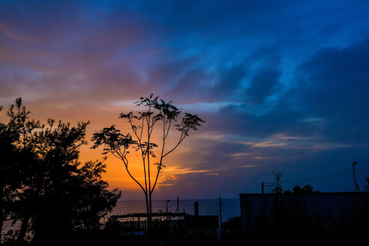 Alfa Est Bilo sul Mare
