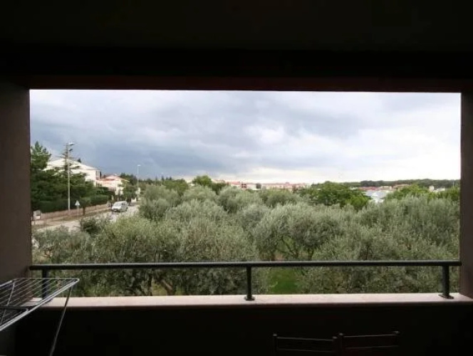 Oliveto