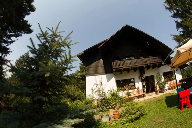 Pension Cabana Ionela