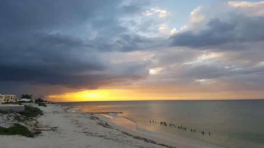 Xanadune de Yucatan
