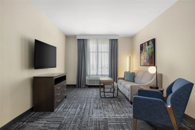 1 Bedroom Suite