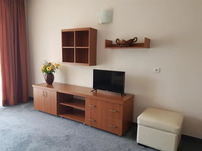 1 Bedroom Suite