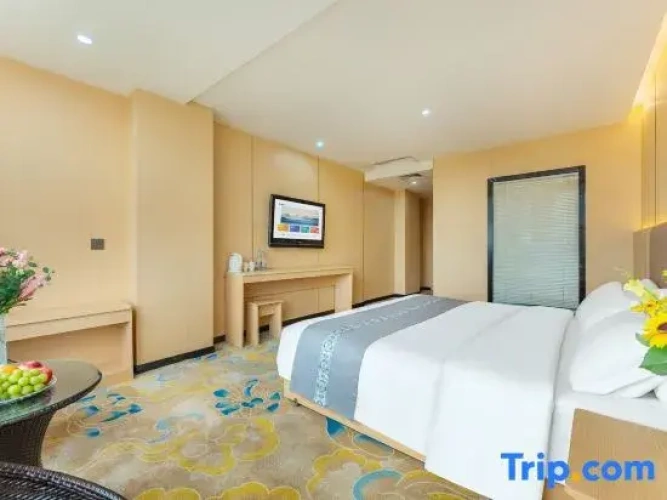 Standard Double room with city view